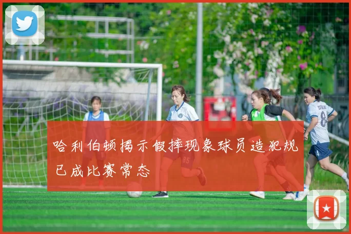 哈利伯顿揭示假摔现象球员造犯规已成比赛常态